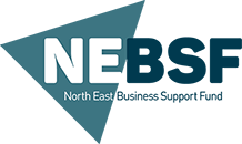 Registered Provider For The North East Business Support Fund